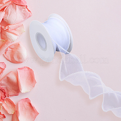 Polyester Ribbons&nbsp;SRIB-WH20020-065B
