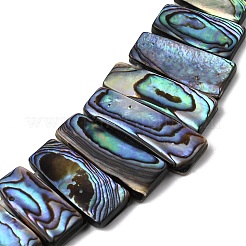 Natural Paua Shell Beads Strands&nbsp;BSHE-S305-01B