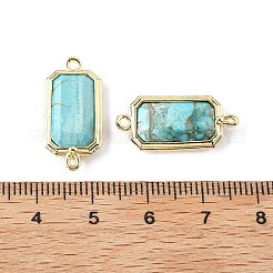 Dyed Natural Howlite Faceted Rectangle Connector Charms&nbsp;G-H323-04G-02