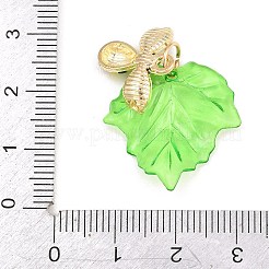 Transparent Resin with Alloy & Enamel Pendants&nbsp;RE-CBA19D0-05B