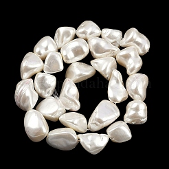 Shell Pearl Beads Strands&nbsp;BSHE-C008-01
