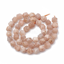 Natural Sunstone Beads Strands&nbsp;G-S332-10mm-008