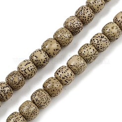 Natural Rudraksha Bodhi Seed Beads Strand&nbsp;WOOD-B010-A03-7x8mm