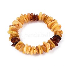Natural Amber Beaded Stretch Bracelets for Men Women&nbsp;BJEW-T018-21