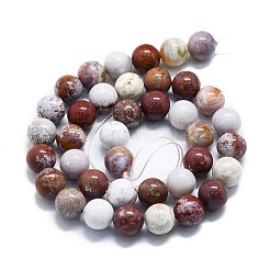 Natural Ocean Jasper Beads Strands&nbsp;G-P457-C05-06