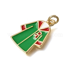 Alloy Enamel Pendants&nbsp;KK-CBAA2A6-02G-D