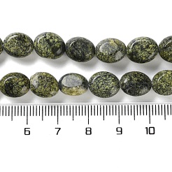 Natural Serpentine/Green Lace Stone Beads Strands&nbsp;G-M420-D18-01