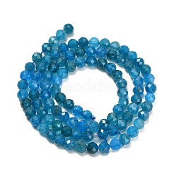 Natural Apatite Beads Strands&nbsp;G-Z106-A01-4mm