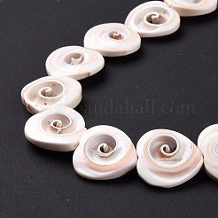 Natural Spiral Shell Beads Strands&nbsp;SSHEL-G023-06