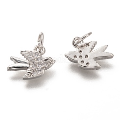 Brass Micro Pave Clear Cubic Zirconia Charms&nbsp;ZIRC-C020-48P
