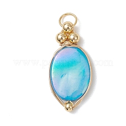 9Pcs 3 Colors Dyed Natural Shell Pendants&nbsp;PALLOY-JF04838