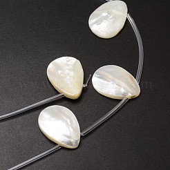 Natural Trochid Shell/Trochus Shell Beads Strands&nbsp;SSHEL-K009-12