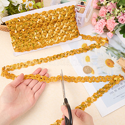 Polyester Paillette Beads&nbsp;OCOR-WH20012-13H
