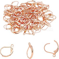 304 Stainless Steel Leverback Earring Findings&nbsp;STAS-UN0001-67RG