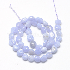 Natural Blue Lace Agate Beads Strands&nbsp;X-G-R445-8x10-10