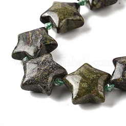 Natural Dragon Blood Beads Strands&nbsp;G-U023-C01-07