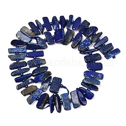 Natural Lapis Lazuli Beads Strands&nbsp;G-K393-B05
