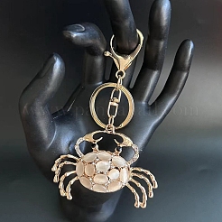 Zinc Alloy Keychain&nbsp;PW-WG1C14D-01