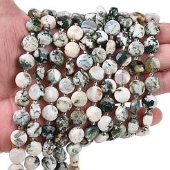 Natural Tree Agate Beads Strands&nbsp;G-F812-C05-01