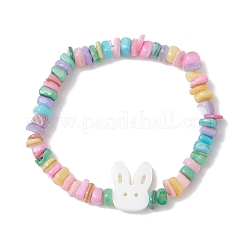 Natural Freshwater Shell Chip  Beads Stretch Bracelets for Girl&nbsp;BJEW-JB13097