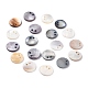 Natural Freshwater Shell Charms&nbsp;BSHE-B003-14-1