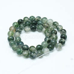 Natural Moss Agate Beads Strands&nbsp;G-I199-06-6mm