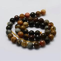 Natural Petrified Wood Bead Strands&nbsp;G-G687-27-8mm