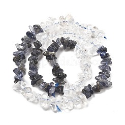 Natural Quartz Crystal & Iolite Beads Strands&nbsp;G-L610-A30-01