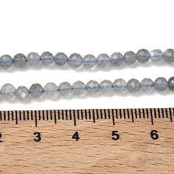 Natural Labradorite Beads Strands&nbsp;G-B168-A09-4mm
