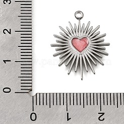304 Stainless Steel Pendants&nbsp;STAS-N108-96P