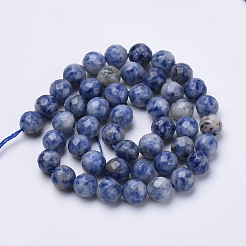 Natural Brazil Sodalite Beads Strands&nbsp;G-S281-10-6mm