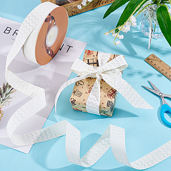 Polyester Ribbons&nbsp;OCOR-WH0120-41C