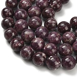 Natural Lepidolite/Purple Mica Stone Beads Strands&nbsp;G-H335-B03-14mm-A