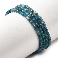 Natural Apatite Beads Strands&nbsp;G-H336-A04-01