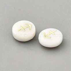 Natural White Shell Beads&nbsp;SHEL-WH0003-13F