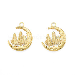 Ion Plating(IP) 201 Stainless Steel Pendants&nbsp;LS-STAS-N098-233LG
