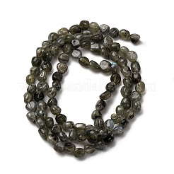 Natural Labradorite Beads Strands&nbsp;G-I389-A35-01A