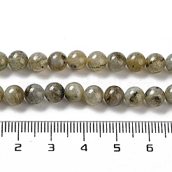Natural Labradorite Beads Strands&nbsp;G-G065-A01-01
