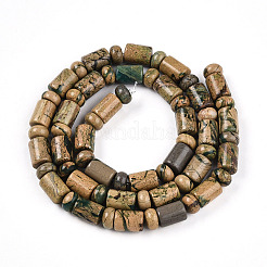 Natural Verdite Stone Beads Strands&nbsp;G-N346-03A-06