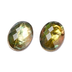 Paua Shell Cabochons&nbsp;SSHEL-C008-05