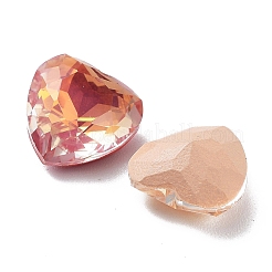 Electroplate K9 Glass Rhinestone Cabochons&nbsp;RGLA-M016-H01-AM