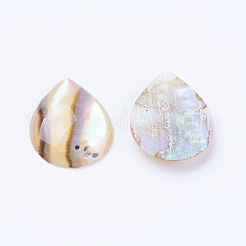 Natural Paua Shell Cabochons&nbsp;SSHEL-F301-26