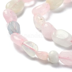 Natural Morganite Beads Strands&nbsp;G-L550A-08