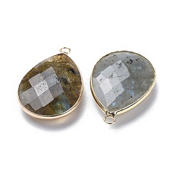 Faceted Natural Labradorite Pendants&nbsp;X-G-M356-B02-LG