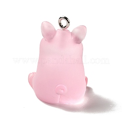 Translucent Resin Pendants&nbsp;RESI-E031-01P-02