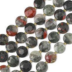 Natural Bloodstone Beads Strands&nbsp;G-A292-A09-01
