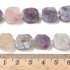 Natural Plum Blossom Tourmaline Beads Strands&nbsp;G-I394-D18