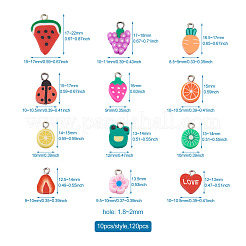 Handmade Polymer Clay Charms&nbsp;CLAY-KS0001-01