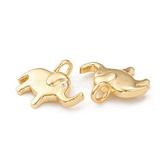 Eco-Friendly Brass Micro Pave Cubic Zirconia Pendants&nbsp;KK-I698-16G