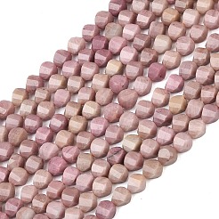 Natural Rhodonite Beads Strands&nbsp;G-P611-C27-01